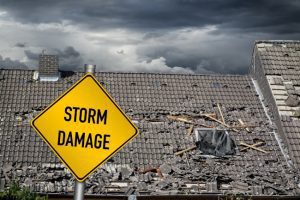 How to Prepare for Storm Damage
