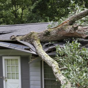 What Is the Most Common Type of Storm Damage Repair?