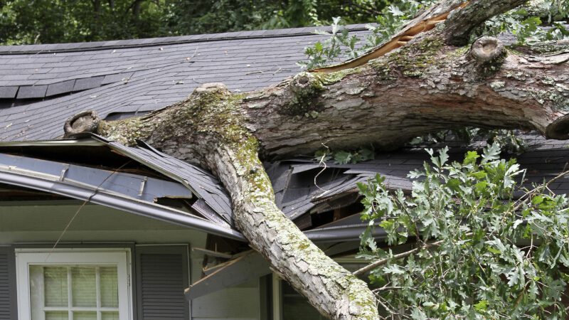 What Is the Most Common Type of Storm Damage Repair?